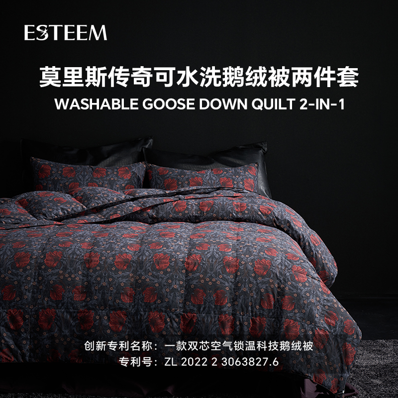 ESTEEM/宜庭莫里斯传奇可水洗鹅绒被二合一四季羽绒被冬被子被芯