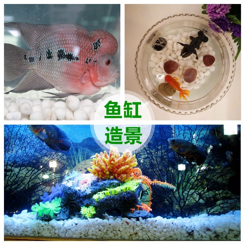 小石子景观盆景造景石花瓶花盆里摆件彩砂铺路石干净水族117685|ruв категории доставка цветов/цветок моделирования/растения садоводства, садовых принадлежностей, других садовых принадлежностей - от Buy2taobao.com для оказания профессиональной услуги покупки агента Taobao
