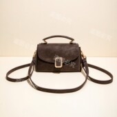 2026新款 百搭擦皮经典 女士风琴单肩斜跨双肩带波士顿枕头包