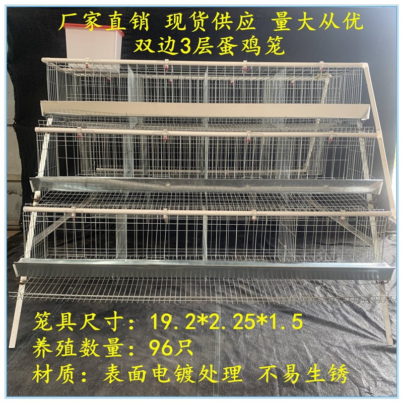 单边3层蛋鸡笼蛋鸡养殖笼蛋鸡专用笼产蛋笼