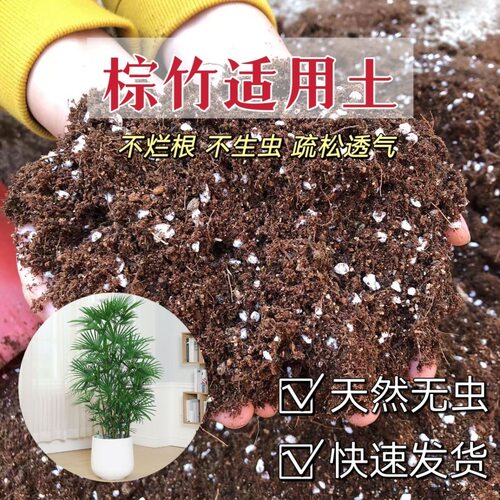 石淙棕竹专用泥炭营养土酸性