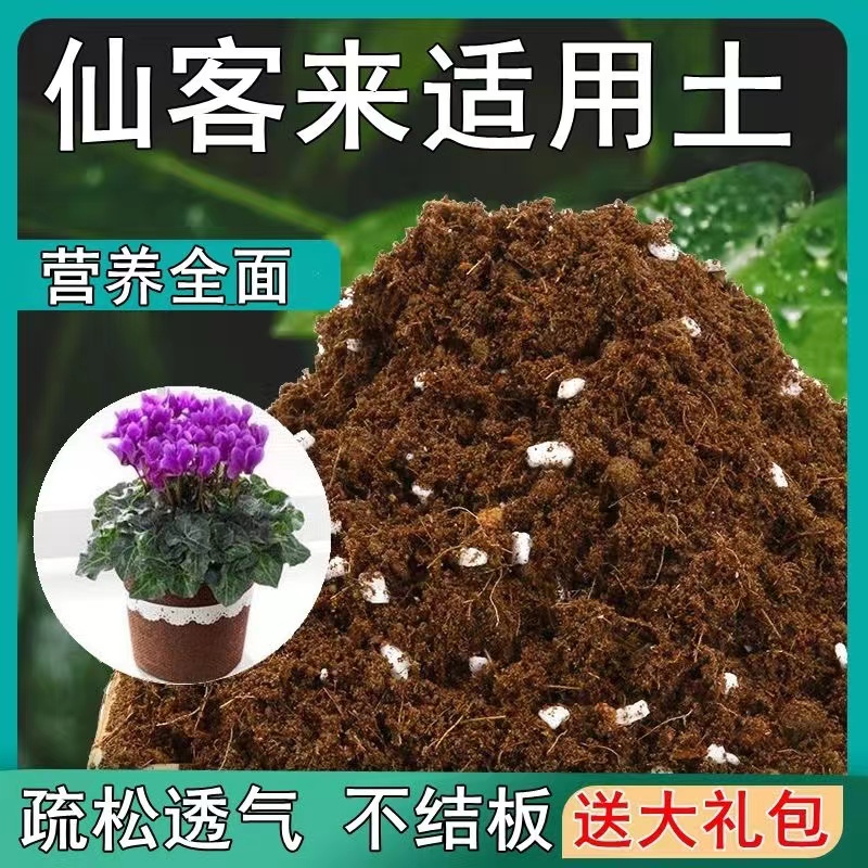 仙客来专用土仙客来营养土通用进口泥炭土盆栽花卉椰糠育苗种植土
