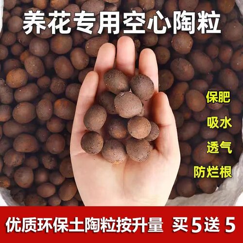 轻质园艺花卉多肉垫底水培陶碳球