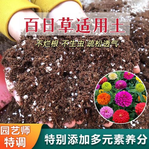 怡马百日草专用通用泥炭营养土