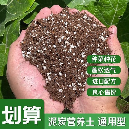 营养土花土多肉有机土家用养花泥炭土种菜种花泥育苗种植土壤通用