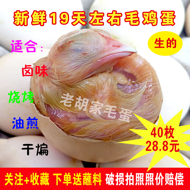 全喜全鸡带毛的新鲜生蛋