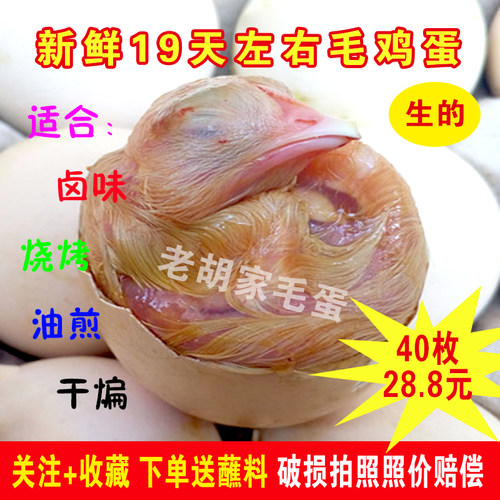 全喜全鸡带毛的新鲜生蛋