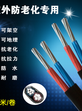 国标电线2.5 4 6 10 16 25 35平方架空铝线2股铝芯户外电缆护套线