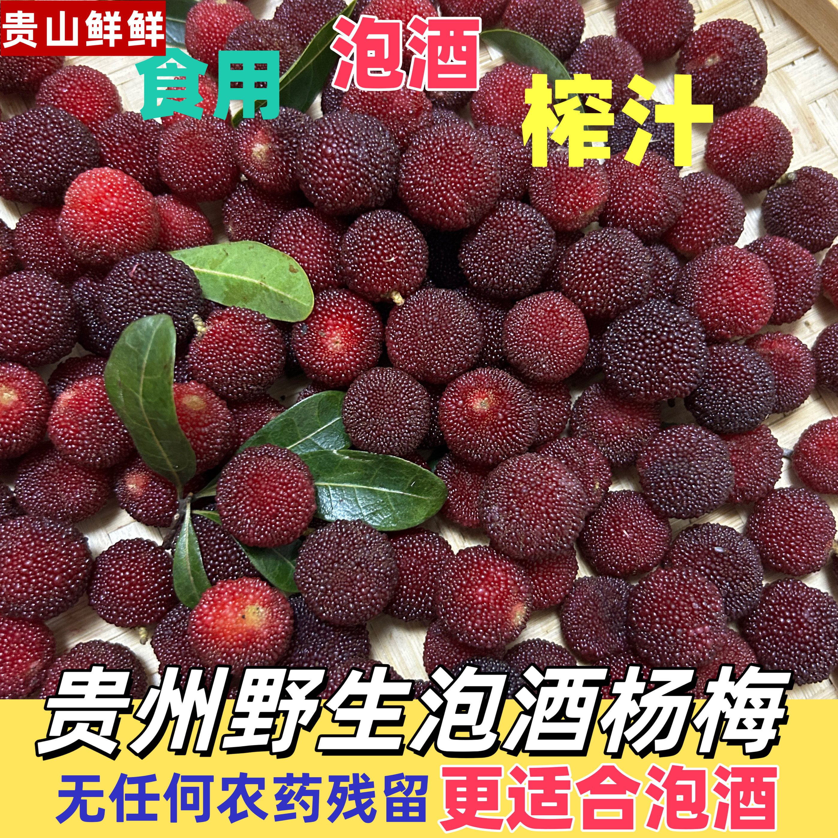 正宗贵州野生杨梅土杨梅可食用青红杨梅泡酒专用现摘高山杨梅鲜果