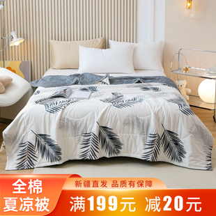 新疆棉花被全棉夏被纯棉夏凉被空调被子单双学生薄被棉被芯可机洗