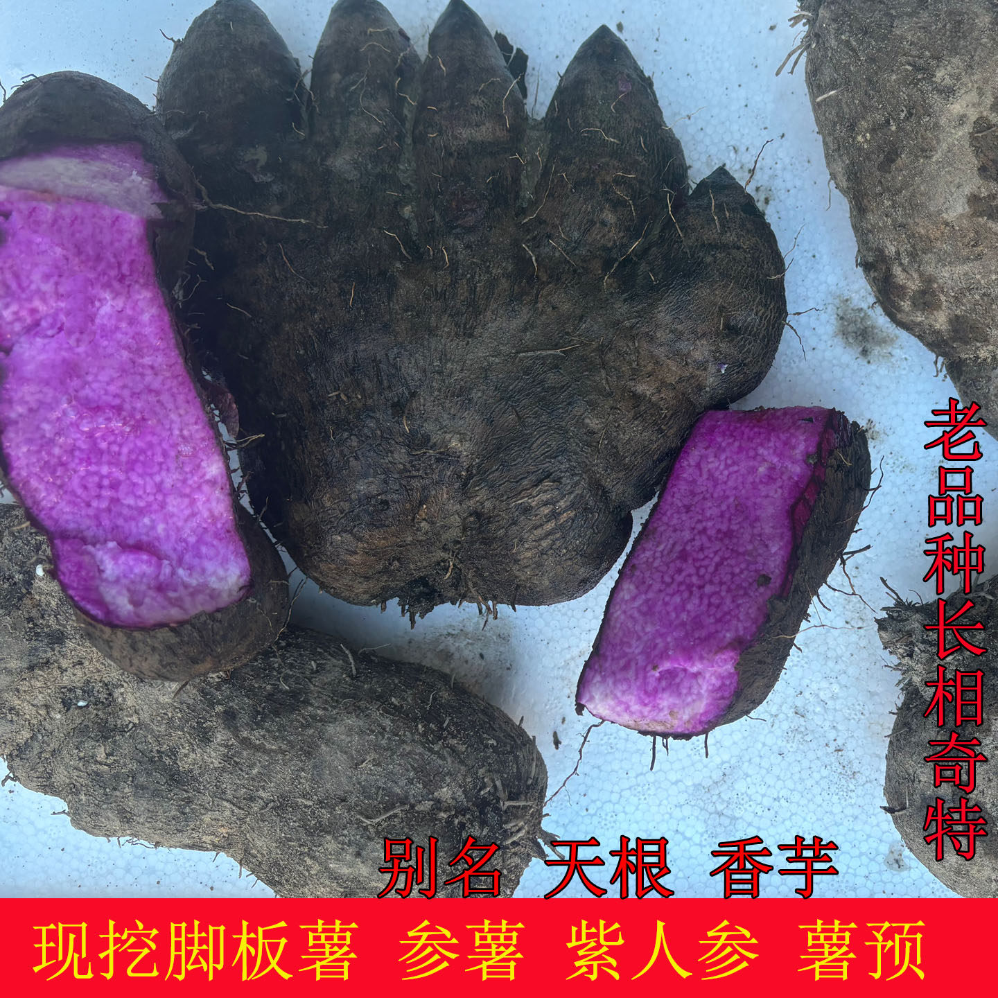 2025新鲜现挖脚板薯参薯天根紫人参紫色山药紫淮山大薯5斤毛薯,水产肉类/新鲜蔬果/熟食,新鲜山药,淘宝优惠券,粉丝福利购,淘宝优惠卷