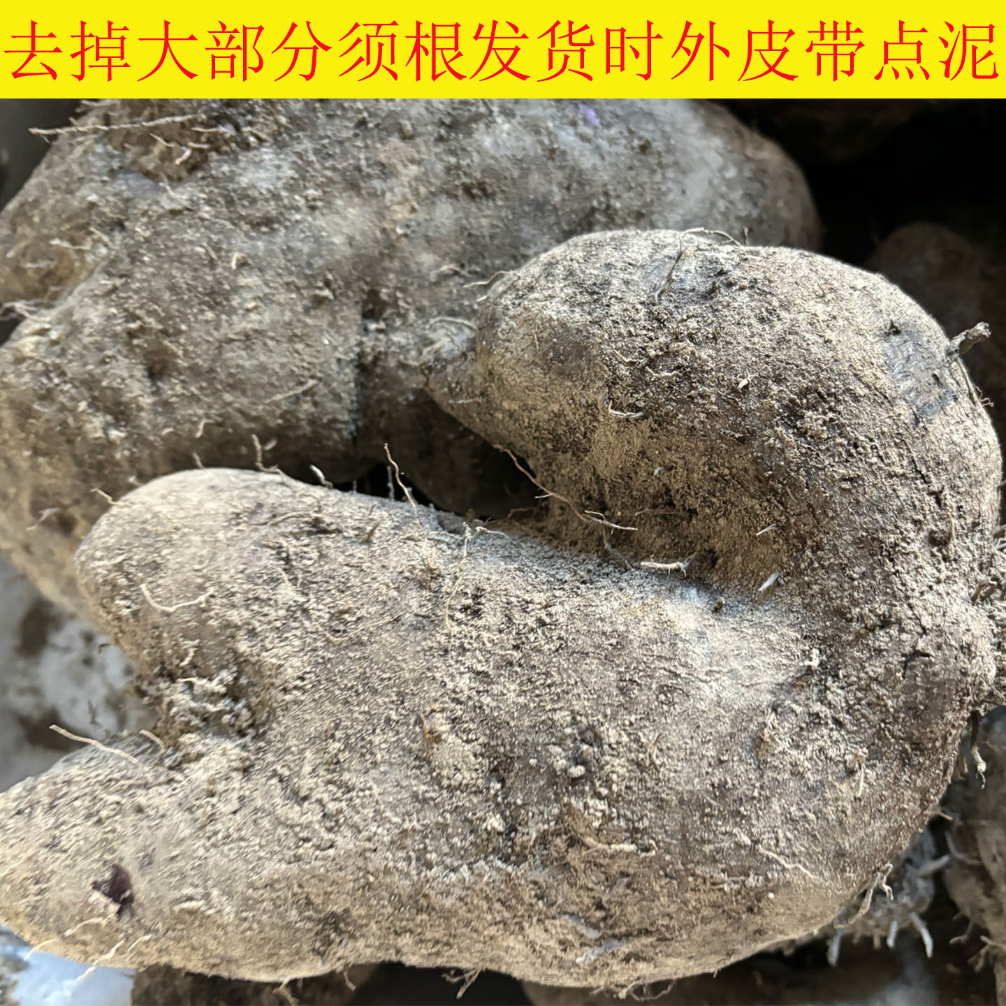 2026新鲜现挖脚板薯参薯天根紫人参紫色山药紫淮山大薯5斤毛薯