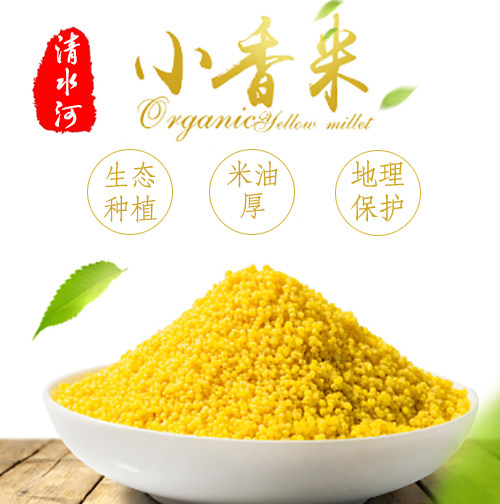 清水河小香米内蒙特产黄小米月子小米