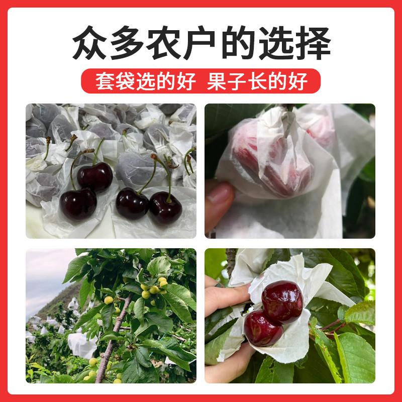 水果套袋车厘子专用保护袋防虫防水草莓樱桃无花果通用可湿水蜡袋