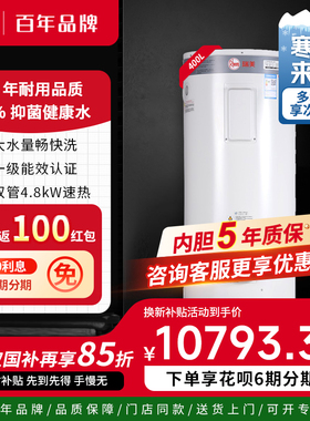 美国瑞美Rheem恒热400L立式电热水器超大量 CSFL400-208K补贴