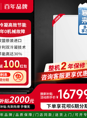 美国瑞美Rheem 原装进口燃气地暖锅炉暖气片双冷凝采暖壁挂炉CBX