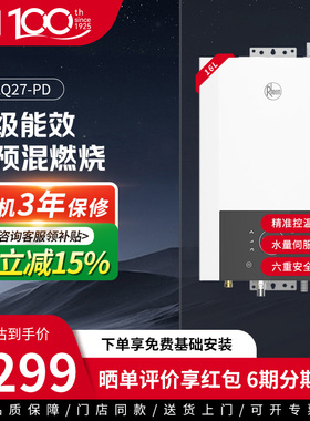 美国瑞美Rheem真一级能效 冷凝式16升燃气热水器补贴 JSLQ27-PD