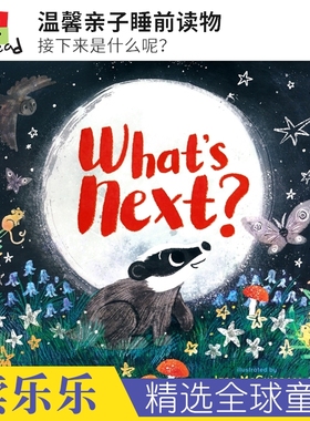 What's Next 接下来是什么呢 温馨亲子睡前读物 英语早教启蒙读物 冒险探索 儿童故事绘本 英文原版进口图书