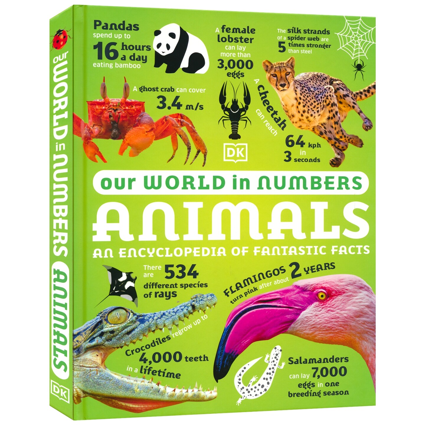 DK 我们的数字世界 动物百科 Our World In Numbers Animals An Encyclopedia of Fantastic Facts 儿童趣味科普 英文原版进口图书