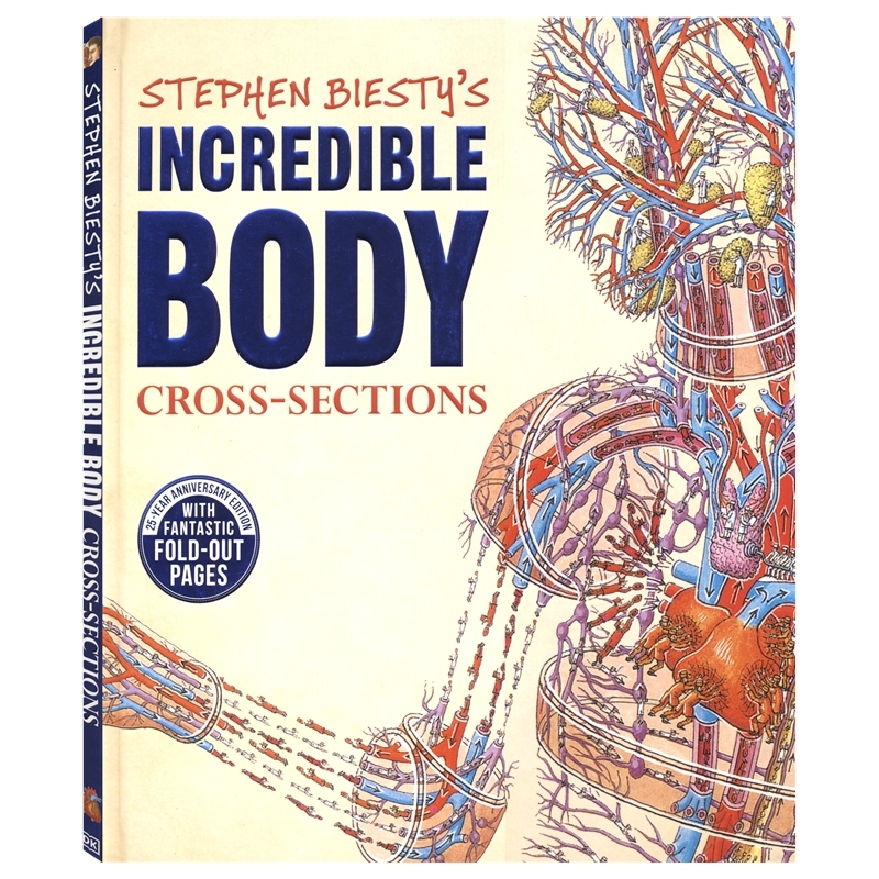 DK Stephen Biesty's Incredible Body Cross sections 不可思议的大剖面 人体的秘密 百科科普绘本读物 英文原版进口儿童图书