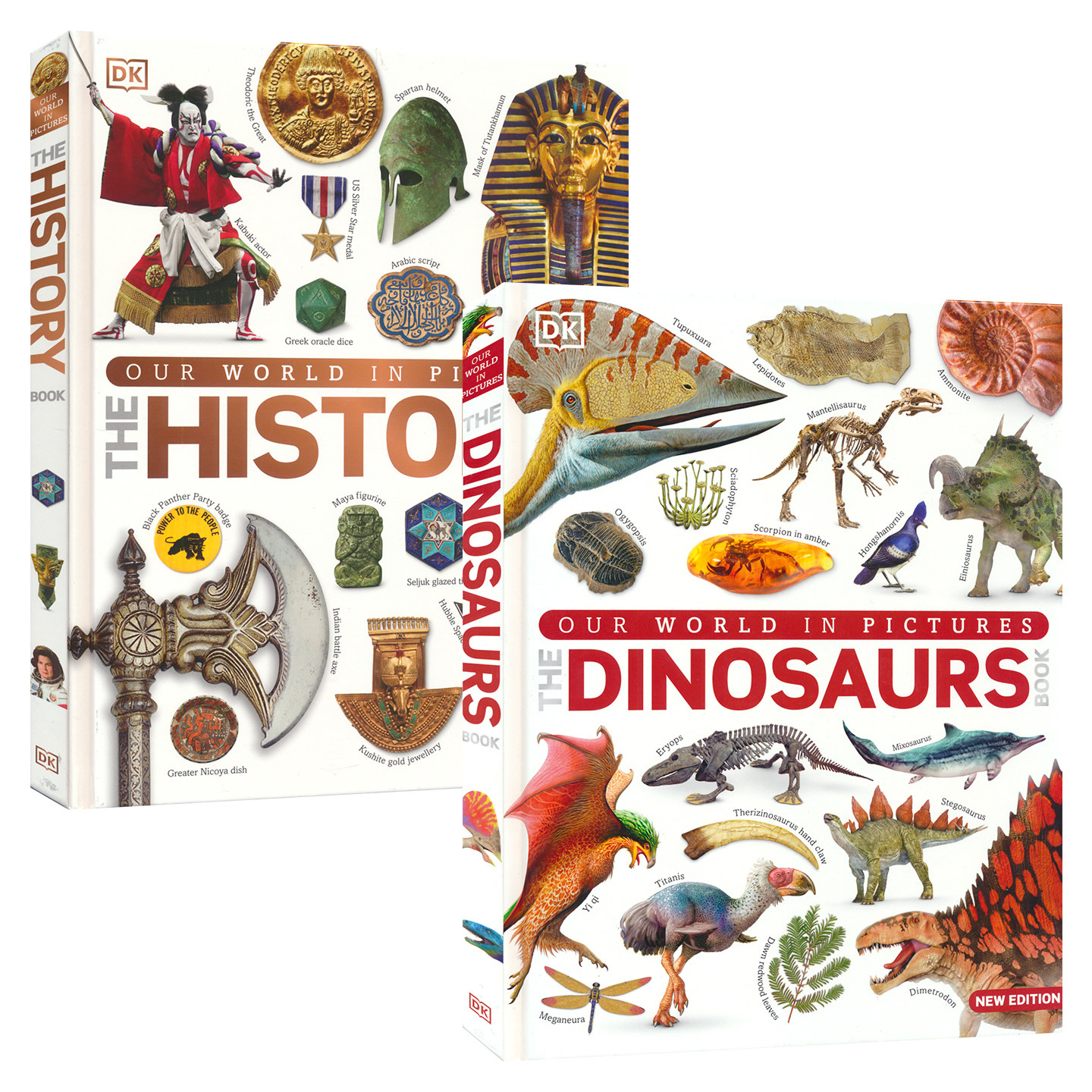 DK Our World in Pictures The Dinosaurs Book 恐龙图解百科 生命科学 儿童科普图鉴 精装 英文原版进口图书