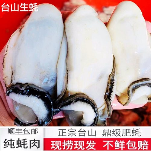 3斤正宗台山生蚝鲜活特大肥美蚝