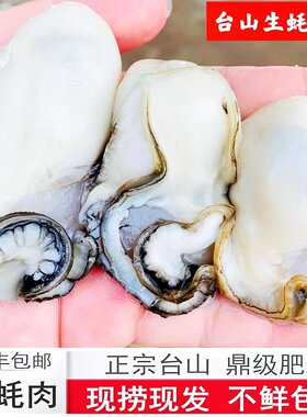台山生蚝去壳蚝肉肥美特大鲜活