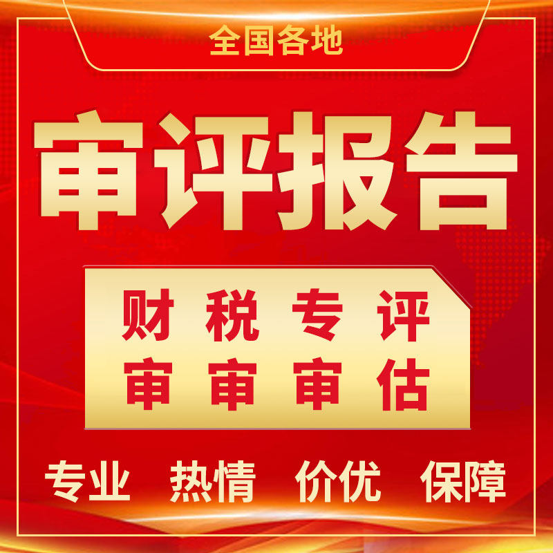 全国公司注册审评报告财审税审专工商注册