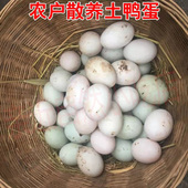 四川农家散养新鲜鸭蛋青壳土鸭蛋麻鸭蛋草麻鸭蛋30枚正宗粮食鸭蛋