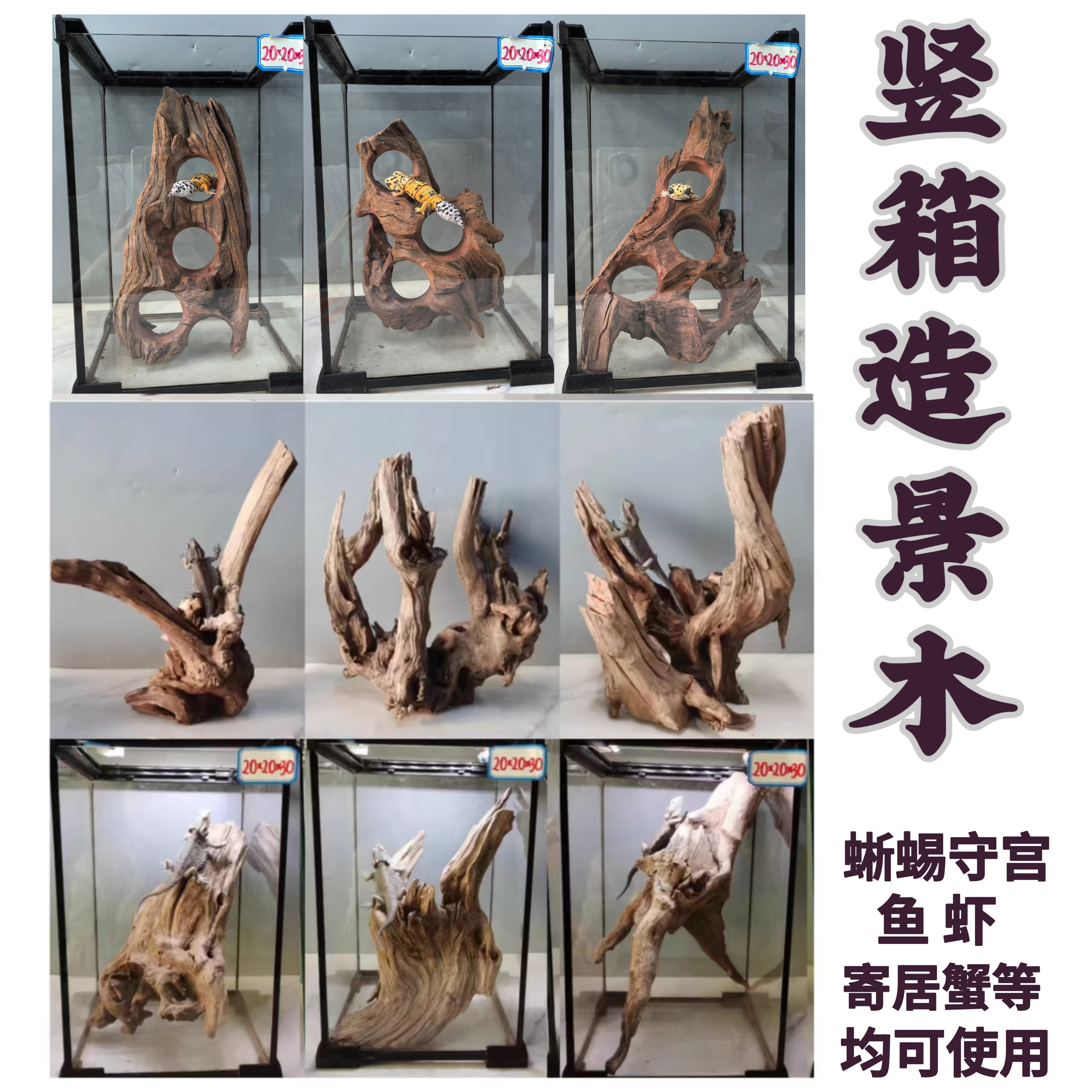 寄居蟹守宫攀爬躲避造景木