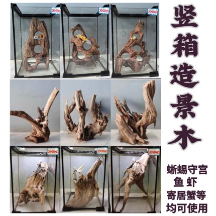 淡水笔记竖缸攀爬木寄居蟹守宫蜥蜴晒台躲避爬宠造景紫柚木