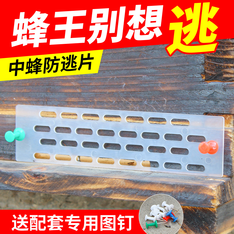 蜜蜂蜂王防跑王片中蜂防逃片蜜蜂蜂箱巢门防逃框防盗蜂隔王片50个