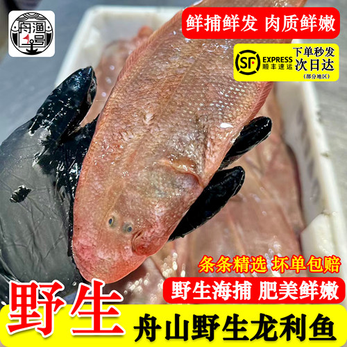 【佩佩家】舟山野生龙利鱼非巴沙鱼新鲜玉秃鱼海鱼舌头鱼鱼刺少