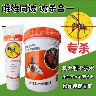 果实蝇针蜂果蛆性息素诱饵诱剂诱捕器诱芯聪绿新产品非诱粘胶