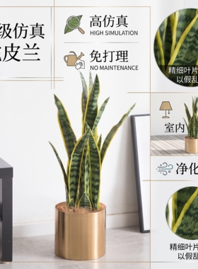 高级仿真虎皮兰塑料仿真绿植盆栽