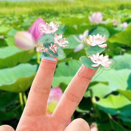 小清新绿色荷花透明贴纸儿童diy手账日记水杯图案卡通防水装饰贴