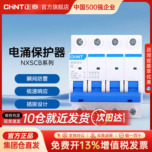 正泰NXSCB-II后备电涌保护器专用装置40KA60KA浪涌前置断路器4P2P