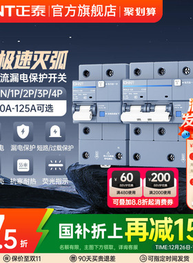 正泰空气开关漏电保护器NB3LE大电流漏保2P63A断路器80a100A125A