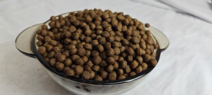 小肉球狗粮通用型成犬幼犬全期狗粮调理肠胃美毛简装大袋犬舍供粮