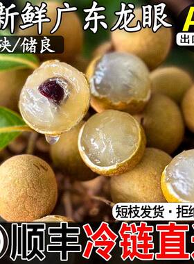 顺丰现货广东新鲜龙眼储良石硖鲜果桂圆特大果3斤5斤当季大果