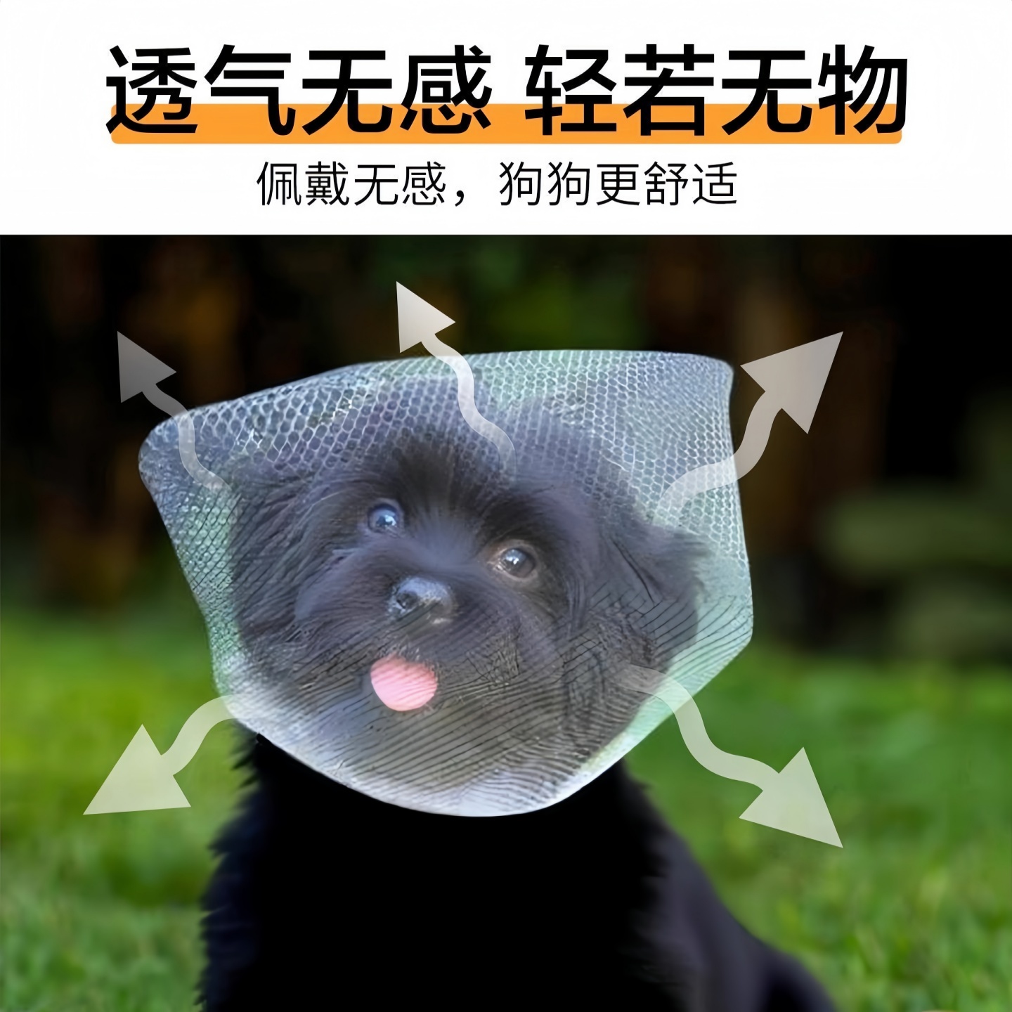 泰迪专用嘴套约克夏狗狗嘴罩口罩网套嘴巴套防乱咬乱吃防叫小型犬