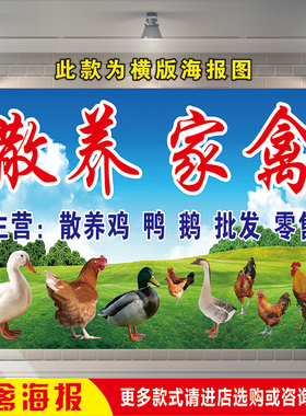 菜市场养殖场家禽店广告招牌贴画散养鸡鸭鹅批零售宣传防水海报纸