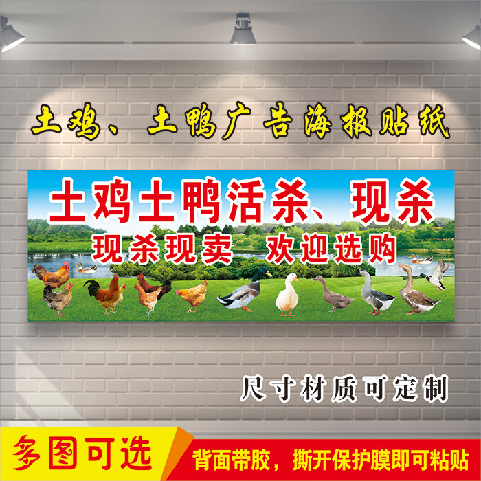 散养土鸡土鸭活杀现杀广告贴纸