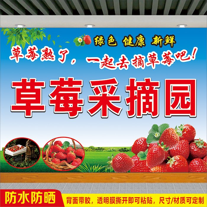 水果农场草莓采摘海报宣传广告牌