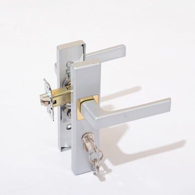 不锈钢双尖110-125门锁