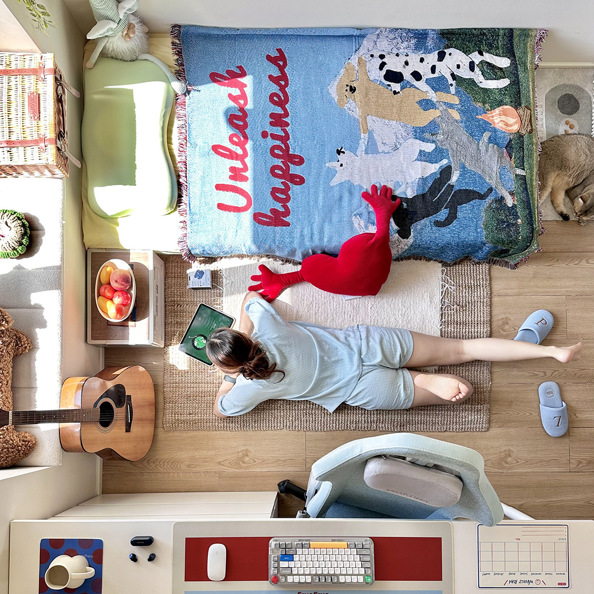 治愈系卡通动物狗狗可爱挂毯装饰毯子卧室布置毛毯子沙发毯沙发巾