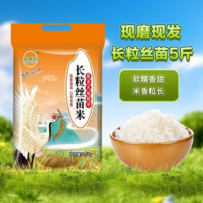5斤正宗长粒香米丝苗米晚稻新米丝苗米煲仔蛋炒饭超长2.5KG大米