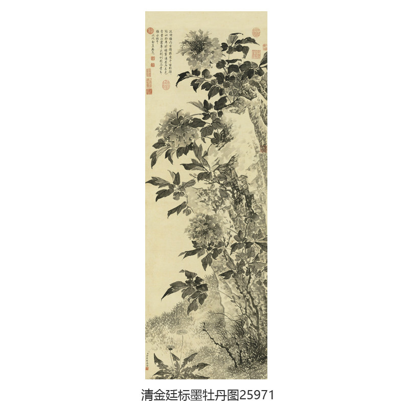 清金廷标墨牡丹图花鸟画仿古名画