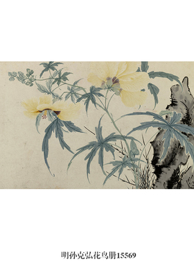 明孙克弘花鸟册花鸟画书画