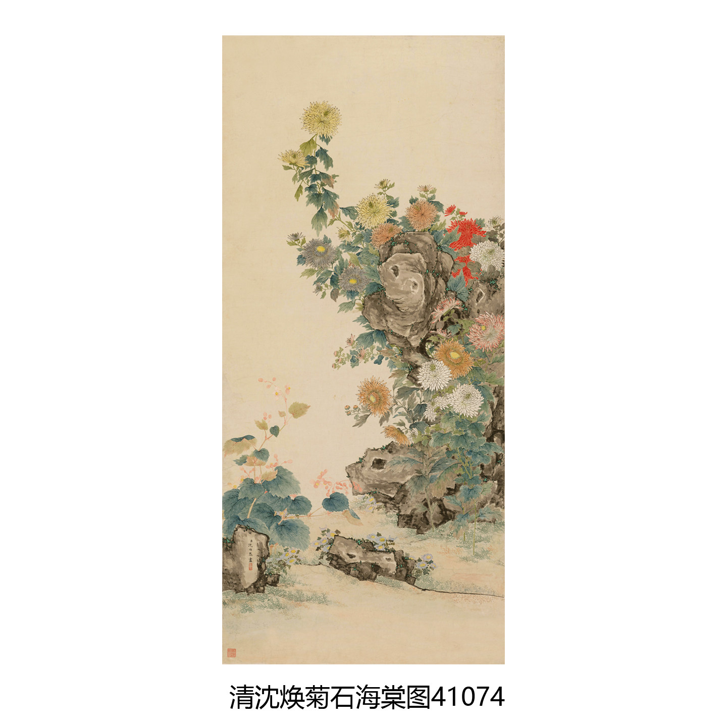 清沈焕菊石海棠图微喷复制品打印传统花鸟画绢布临摹画稿卷轴挂画